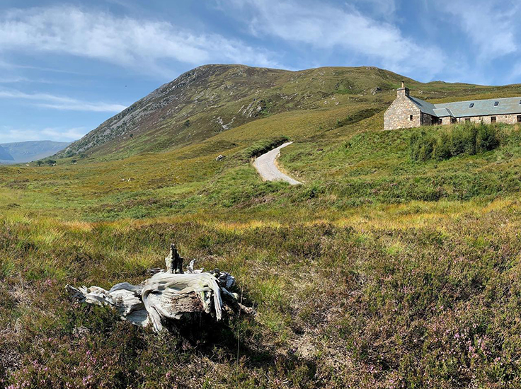 Beautiful landscape at Alladale Wilderness Reserve