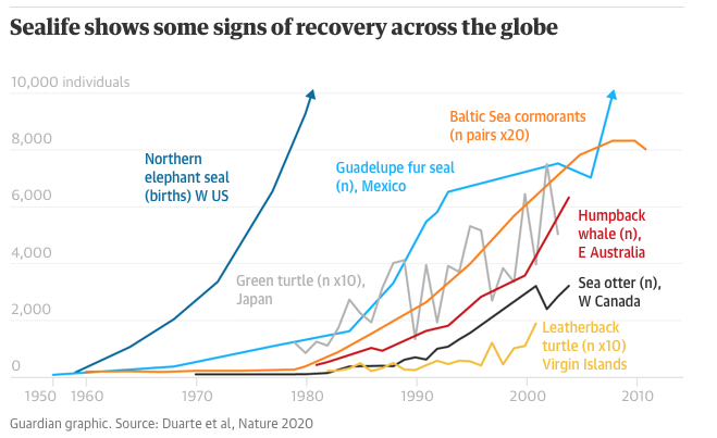 Guardian graphic. Source Duarte et al Nature 2020